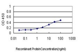 Monoclonal Anti-SYP antibody produced in mouse clone 3B3, purified immunoglobulin, buffered aqueous solution