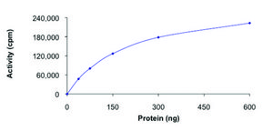 NUAK2, active, GST tagged human PRECISIO® Kinase, recombinant, expressed in baculovirus infected Sf9 cells, ≥70% (SDS-PAGE), buffered aqueous glycerol solution