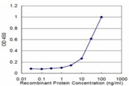 Monoclonal Anti-GBA antibody produced in mouse clone 2H4, purified immunoglobulin, buffered aqueous solution