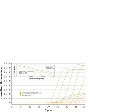 KAPA SYBR® FAST One-Step suitable for RT-PCR, 2 ×, Universal