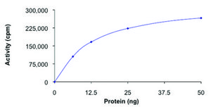 MEKK1 (900-1748)，有源，GST 标记 人 PRECISIO® Kinase, recombinant, expressed in baculovirus infected Sf9 cells, ≥70% (SDS-PAGE), buffered aqueous glycerol solution