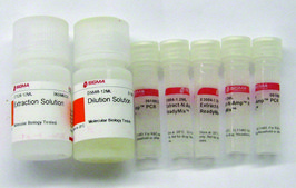 Extract-N-Amp™ Plant PCR Kit sufficient for 100 extractions, sufficient for 500 amplifications