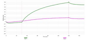 Anti-p-PKCβ (Ser660) Antibody, clone 2C11 ZooMAb® Rabbit Monoclonal recombinant, expressed in HEK 293 cells