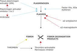 Plasminogen activator inhibitor 1 (PAI-1) human recombinant, expressed in E. coli, ≥90% (SDS-PAGE)