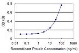 Monoclonal Anti-SDC2 antibody produced in mouse clone 1B2, purified immunoglobulin, buffered aqueous solution