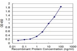 Monoclonal Anti-CNR1, (N-terminal) antibody produced in mouse clone 1F9, purified immunoglobulin, buffered aqueous solution