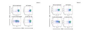 Anti-TACE Antibody, clone D1(A12) clone D1(A12), from human(Recombinant)
