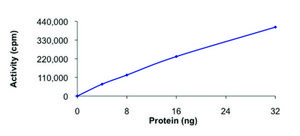PKC ε , active, GST tagged human PRECISIO® Kinase, recombinant, expressed in baculovirus infected Sf9 cells, ≥70% (SDS-PAGE), buffered aqueous glycerol solution