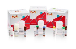 Multidrug Resistance Assay Kit (Fluorometric MDR Assay)