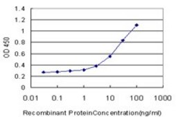 Monoclonal Anti-GRN antibody produced in mouse clone 1F5, purified immunoglobulin, buffered aqueous solution