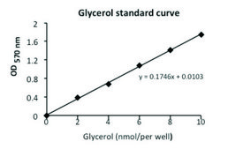 Lipase Activity Assay Kit sufficient for 100 colorimetric&nbsp;tests (with&nbsp;glycerol&nbsp;standard)