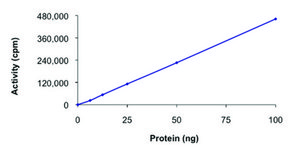 AMPK (α2/β2/γ1), active, His tagged human PRECISIO® Kinase, recombinant, expressed in baculovirus infected Sf9 cells, ≥70% (SDS-PAGE), buffered aqueous glycerol solution