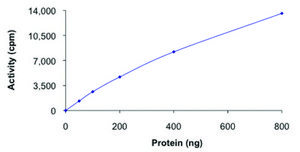 PDHK1, active, GST tagged human PRECISIO® Kinase, recombinant, expressed in baculovirus infected Sf9 cells, ≥70% (SDS-PAGE), buffered aqueous glycerol solution