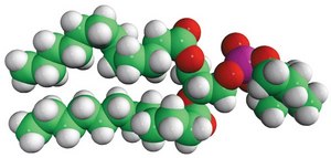 12:0 PC (DLPC) Avanti Research™ - A Croda Brand