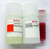 Extract-N-Amp™ Plant PCR Kit sufficient for 100 extractions, sufficient for 100 amplifications