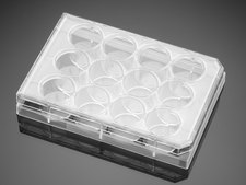 Corning® Falcon® Cell Culture Plate wells, 12, Tissue Culture (TC)-treated surface, flat bottom clear wells, sterile