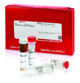 Duolink® In Situ Detection Reagents Red