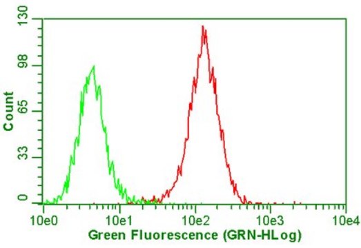 抗整合素αVβ 5抗体，克隆P1F6，无叠氮化物 clone P1F6, Chemicon®, from mouse