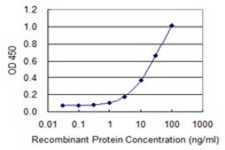 Monoclonal Anti-SLC25A25 antibody produced in mouse clone 4D8, purified immunoglobulin, buffered aqueous solution