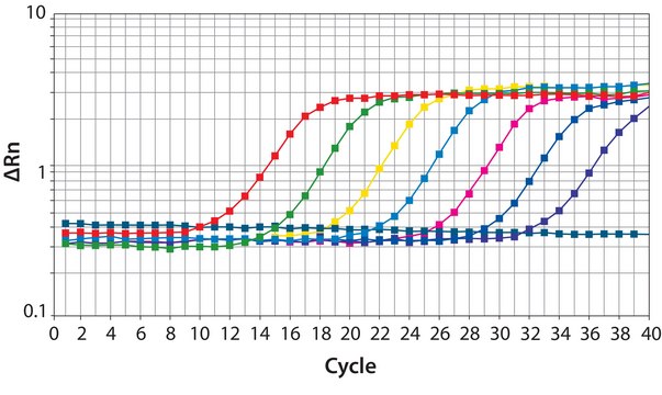 SYBR® Green JumpStart™ Taq ReadyMix™ for quantitative PCR, without MgCl2 in buffer
