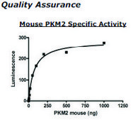 Pyruvate kinase M2 Active from mouse recombinant, expressed in E. coli, ≥90% (SDS-PAGE)