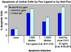 Anti-Phosphatidylserine Antibody, clone 1H6 clone 1H6, Upstate®, from mouse