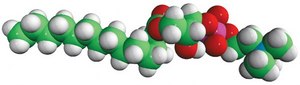 14:0 Lyso PC 1-myristoyl-2-hydroxy-sn-glycero-3-phosphocholine, chloroform