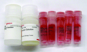 REDExtract-N-Amp™ Plant PCR Kit sufficient for 100 extractions, sufficient for 500 amplifications