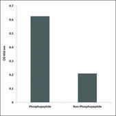 抗 磷酸化 PLK1 (pThr 210 ) 兔抗 affinity isolated antibody