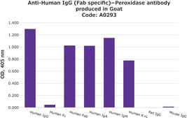 Anti-Human IgG (Fab specific)−Peroxidase antibody produced in goat affinity isolated antibody