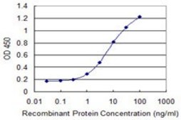 Monoclonal Anti-ASH2L antibody produced in mouse clone 4G7, purified immunoglobulin, buffered aqueous solution
