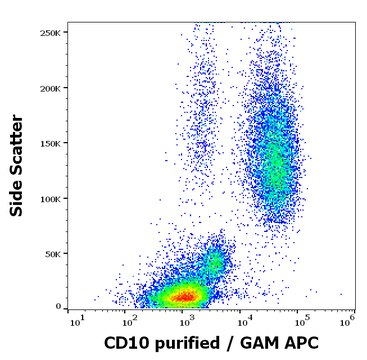 Monoclonal Anti-CD10 antibody produced in mouse clone LT10, purified immunoglobulin, buffered aqueous solution