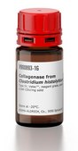 Collagenase from Clostridium histolyticum Type IV, Vetec™, reagent grade, powder, ≥160 CDU/mg solid
