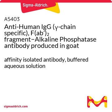 Anti-Human IgG (γ-chain specific), F(ab′)2 fragment−Alkaline Phosphatase antibody produced in goat affinity isolated antibody, buffered aqueous solution