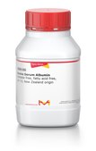 Bovine Serum Albumin heat shock fraction, New Zealand origin, protease free, IgG free, fatty acid free, Ph 7.0, ≥98%