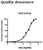 Set2 human recombinant, expressed in E. coli, ≥75% (SDS-PAGE)