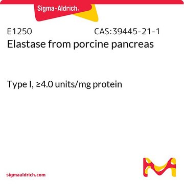 弹性蛋白酶 来源于猪胰腺 Type I, ≥4.0 units/mg protein