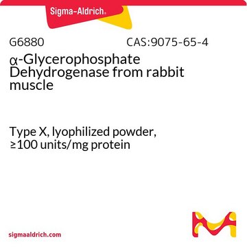 α-甘油磷酸脱氢酶 来源于兔肌肉 Type X, lyophilized powder, ≥100 units/mg protein