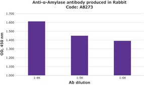 抗 α-淀粉酶 兔抗 fractionated antiserum, lyophilized powder