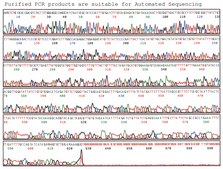 GenElute™ PCR Clean-Up Kit sufficient for 70 purifications