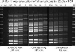 KAPA2G Fast Multiplex Mix suitable for PCR, 2 ×