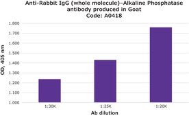 Anti-Rabbit IgG (whole molecule)–Alkaline Phosphatase antibody produced in goat IgG fraction of antiserum