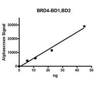BRD4, BD1, BD2 (49-460) His tag human recombinant, expressed in E. coli, ≥75% (SDS-PAGE)