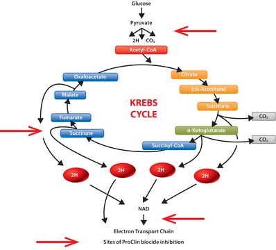 ProClin™ 950 ProClin™ preservative for use in IVD manufacturing, pkg of 110 kg, MIT 9.5 %