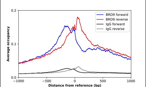 Anti-BRD9 antibody produced in rabbit Prestige Antibodies® Powered by Atlas Antibodies, affinity isolated antibody
