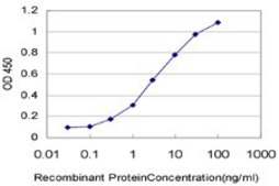 Monoclonal Anti-ADAM2 antibody produced in mouse clone 4A2, purified immunoglobulin, buffered aqueous solution
