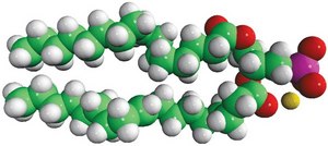 Egg PA Avanti Research™ - A Croda Brand