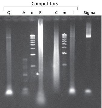 JumpStart™ Taq DNA Polymerase without MgCl2