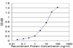 Monoclonal Anti-UCHL1 antibody produced in mouse clone S1, purified immunoglobulin, buffered aqueous solution