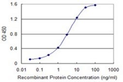 Monoclonal Anti-ABCC5 antibody produced in mouse clone 1B12, purified immunoglobulin, buffered aqueous solution